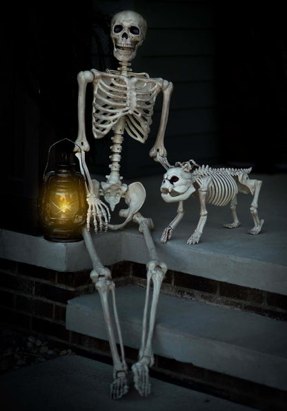 Crazy Bonez Pose-N-Stay 5 ft Life-Size Halloween Skeleton 6