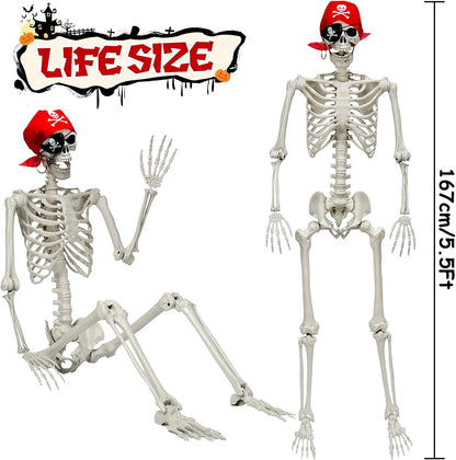 MyoGrip 5.5 ft Posable Skeleton Halloween Prop with Pirate Bandana 2