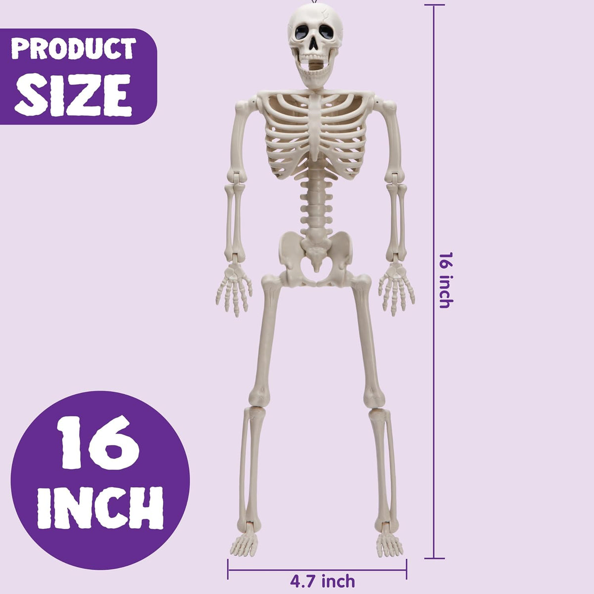 JOYIN 5 Posable Hanging Skeletons, 16 Inch Halloween Decor 6