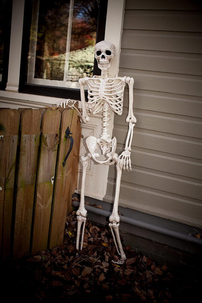 Crazy Bonez Pose-N-Stay 5 ft Life-Size Halloween Skeleton 5