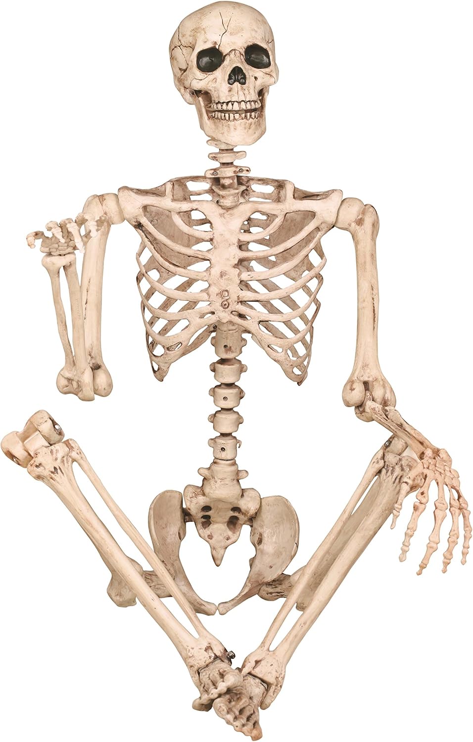 Crazy Bonez Pose-N-Stay 5 ft Life-Size Halloween Skeleton 3