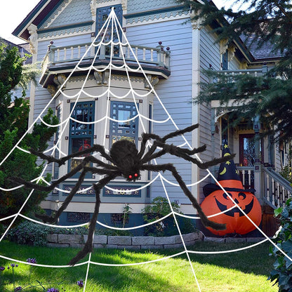 OCATO 200 in Triangle Spider Web with 59 in Giant Black Spider 1