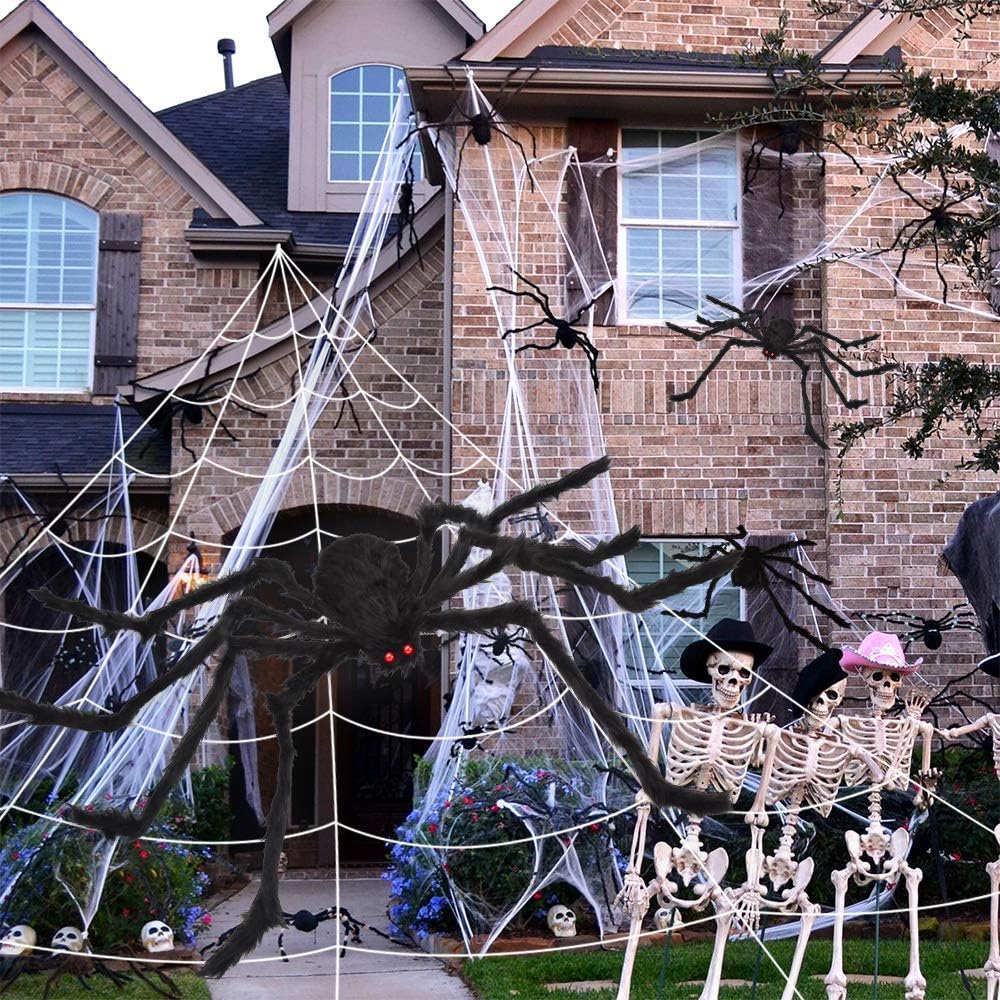 OCATO 200 in Triangle Spider Web with 59 in Giant Black Spider 5