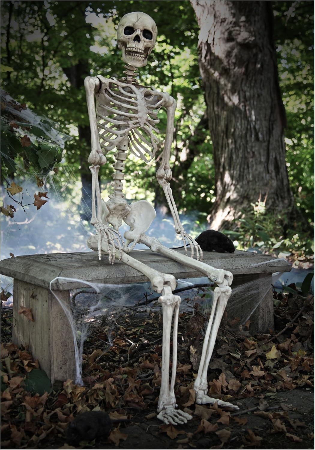 Crazy Bonez Pose-N-Stay 5 ft Life-Size Halloween Skeleton 7